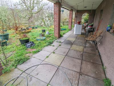 Picture 21